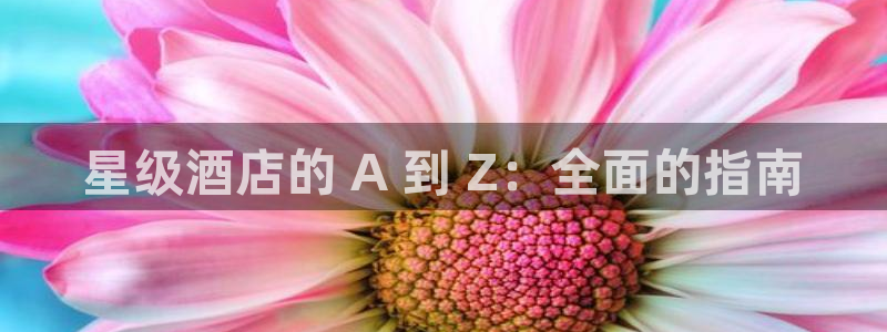 凯发k8全球最大的娱乐平台